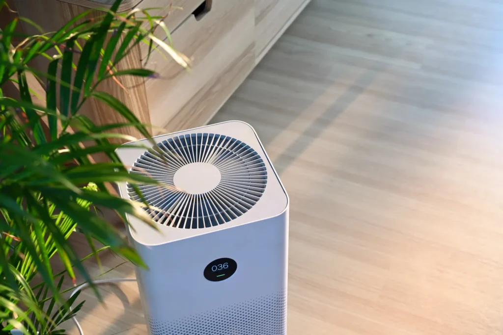 air cleaner working in living room