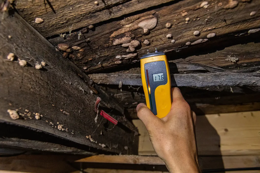indoor air quality check for mold