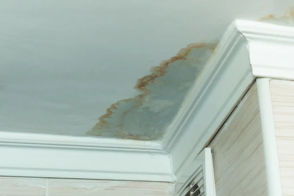 leak coming through ceiling
